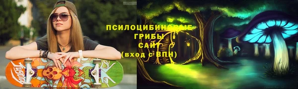 ешки Алексин