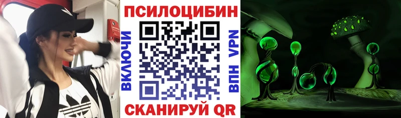 Галлюциногенные грибы GOLDEN TEACHER где можно купить Людиново